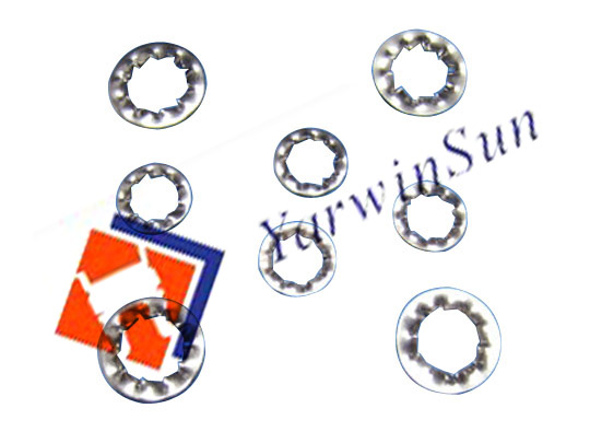 Internal teeth serrated lock washer